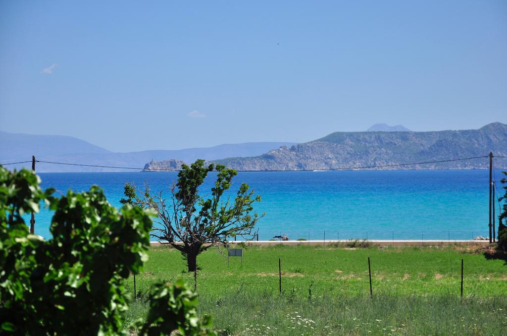 Phoenix Beachside Condos Kokkónion Zewnętrze zdjęcie